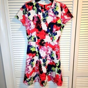 Milly by Design Nation Multicolor Scuba Knit Fit & Flare Dress size 10